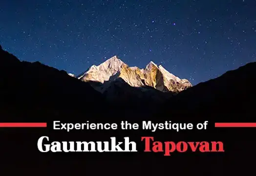 Gaumukh Tapovan Trek Guide - Facts, Source, Adventure